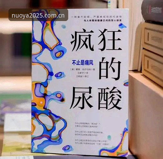 深度揭秘诺亚体育官方2025：新手必看的完整入手指南与隐藏功能解析